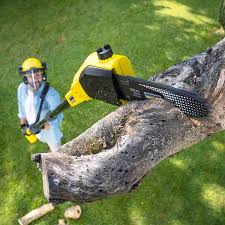 Best Utility Line Clearance  in Kennewick, WA